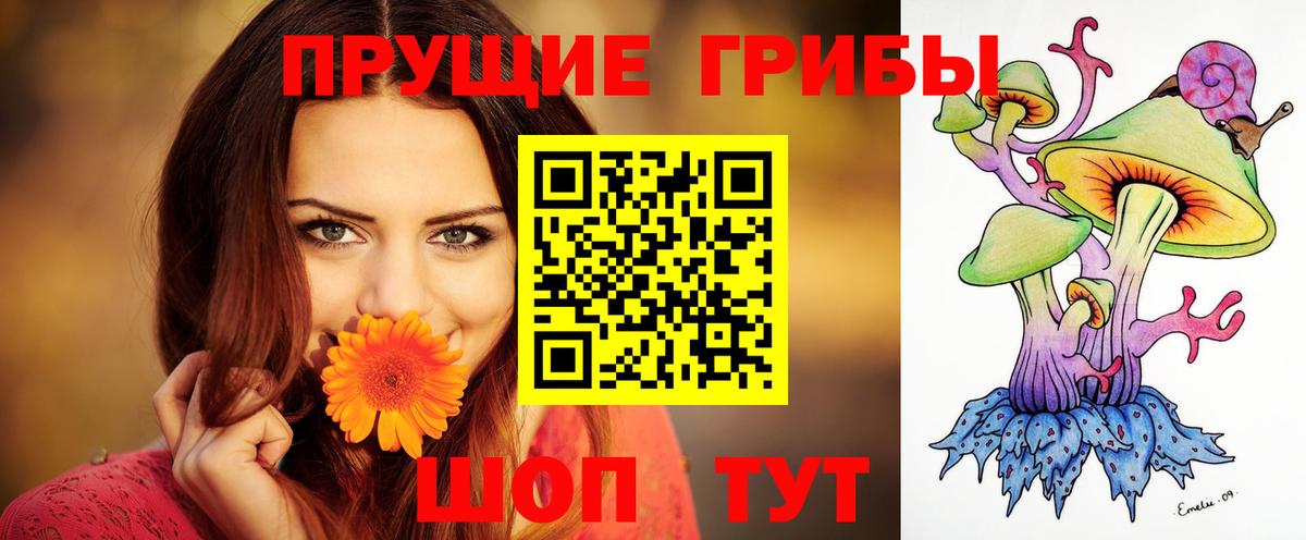 Майкоп  Псилоцибиновые грибы Magic Shrooms  наркошоп  Вход с VPN 