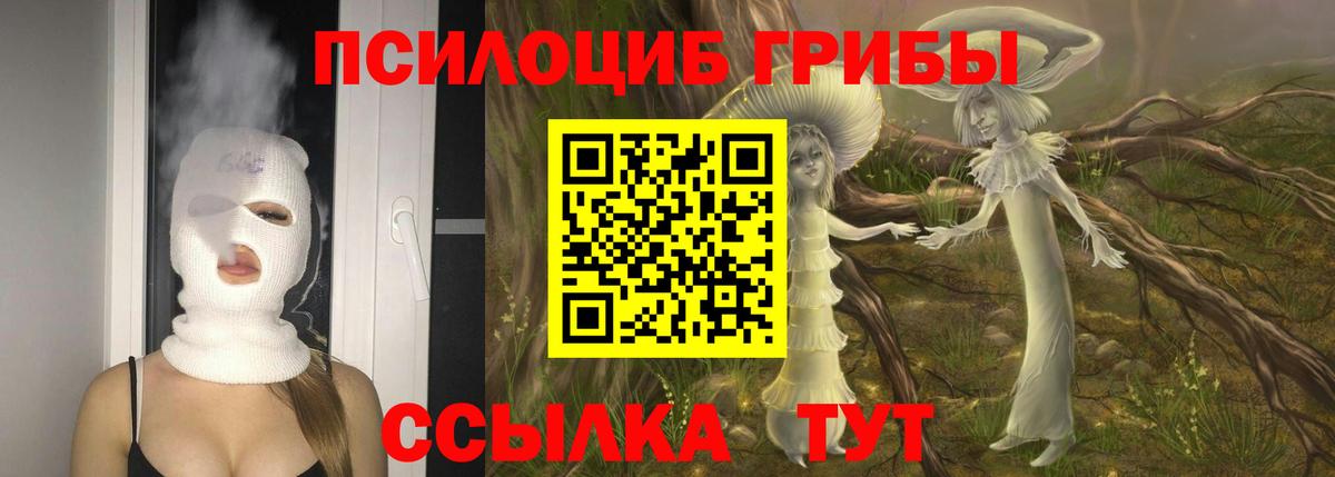 Псилоцибиновые грибы мицелий Майкоп